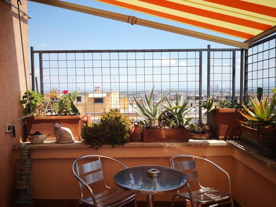 Rosa's Terrace Panoramic Penthouse Apartment